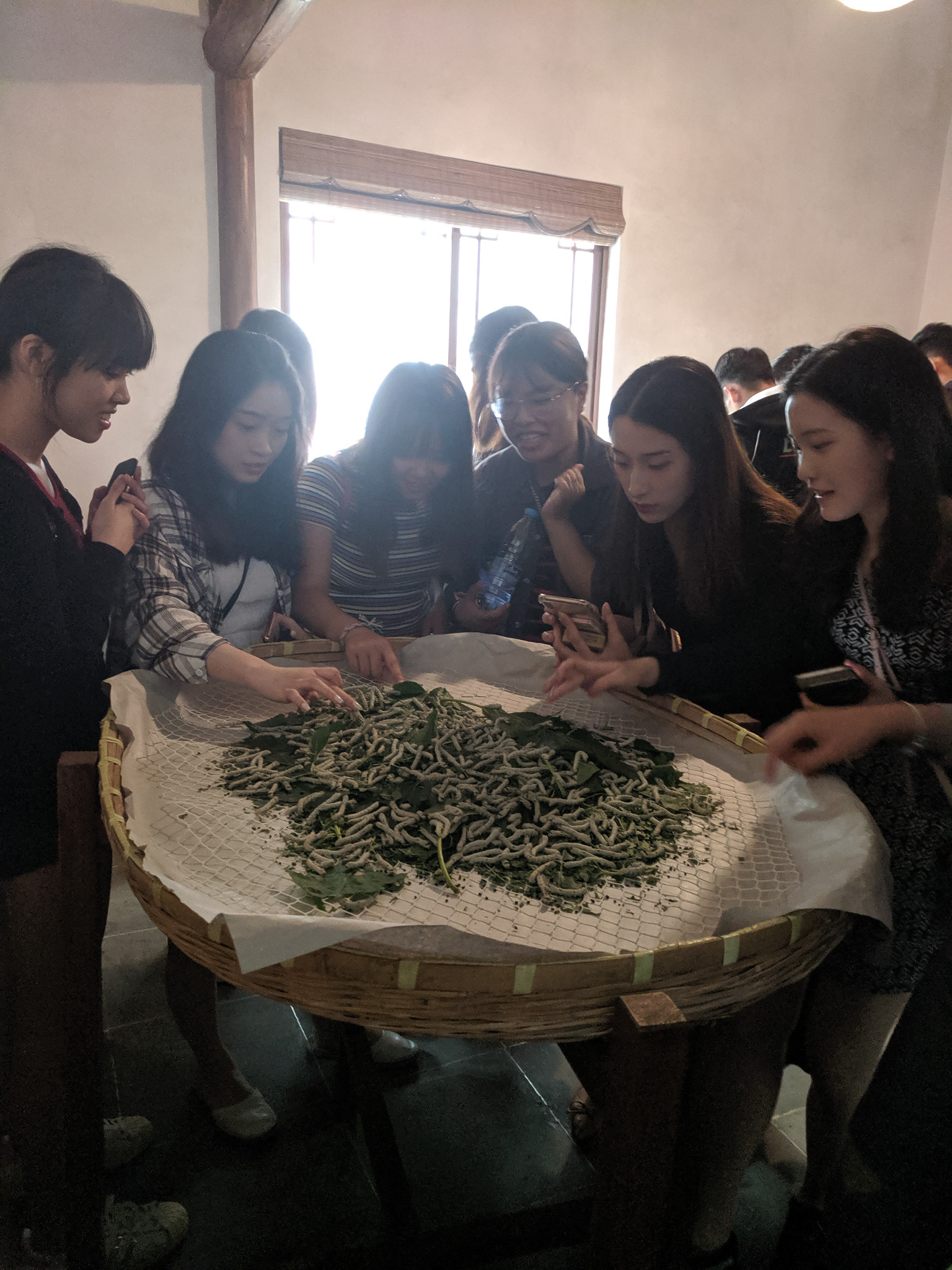 S22 Site Visit